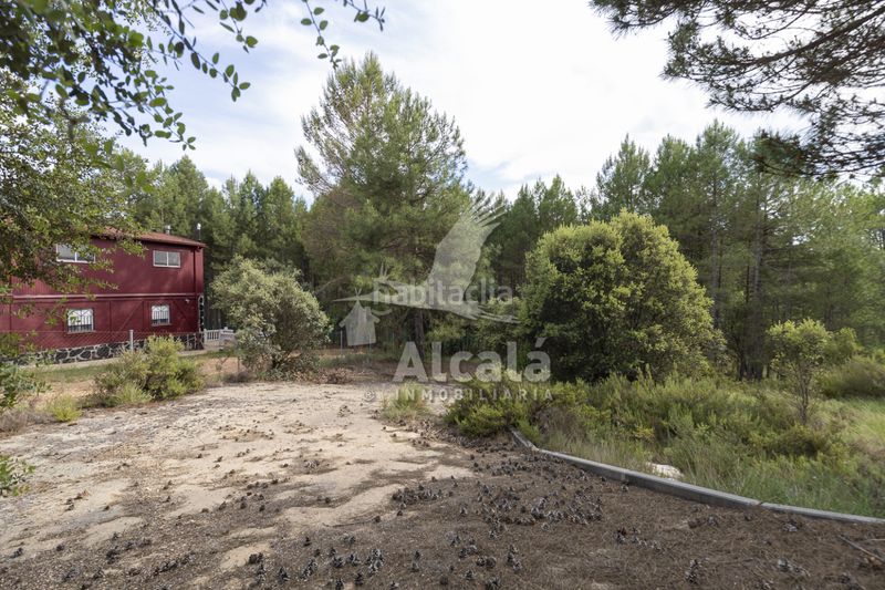 Foto db7738be-9311-46e0-98ee-14f6961867d7. Finca rústica a Trillo
