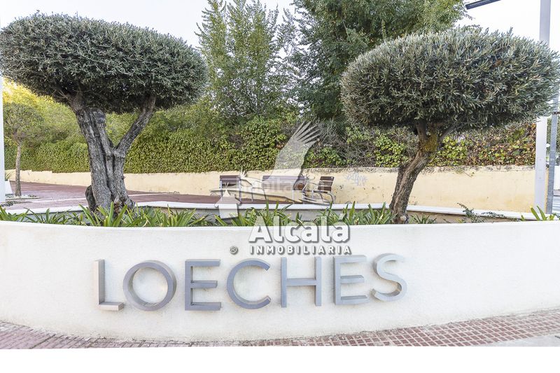 Foto 1cb4ce62-6b40-4c3d-9996-7572f073e6a7. Pis amb calefacció aparcament piscina a Loeches