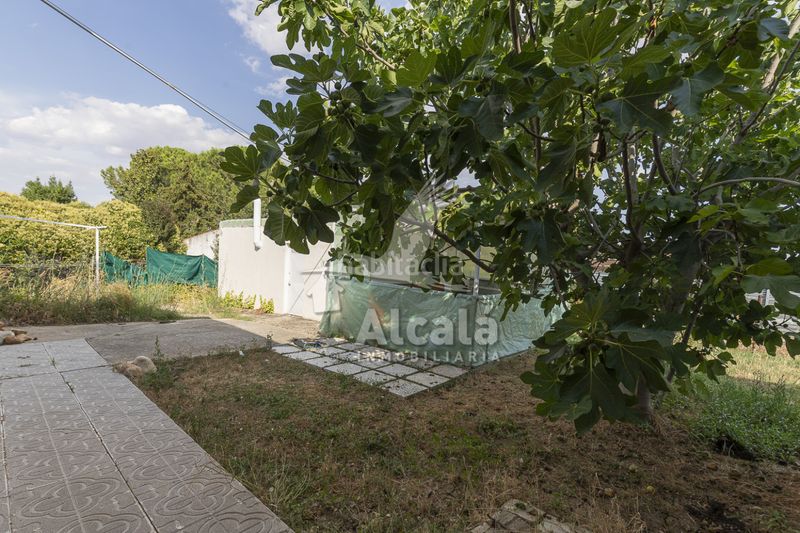 Foto 2fec87b9-010f-45ce-822d-1e32db034957. Casa amb calefacció aparcament piscina a Torrejón del Rey