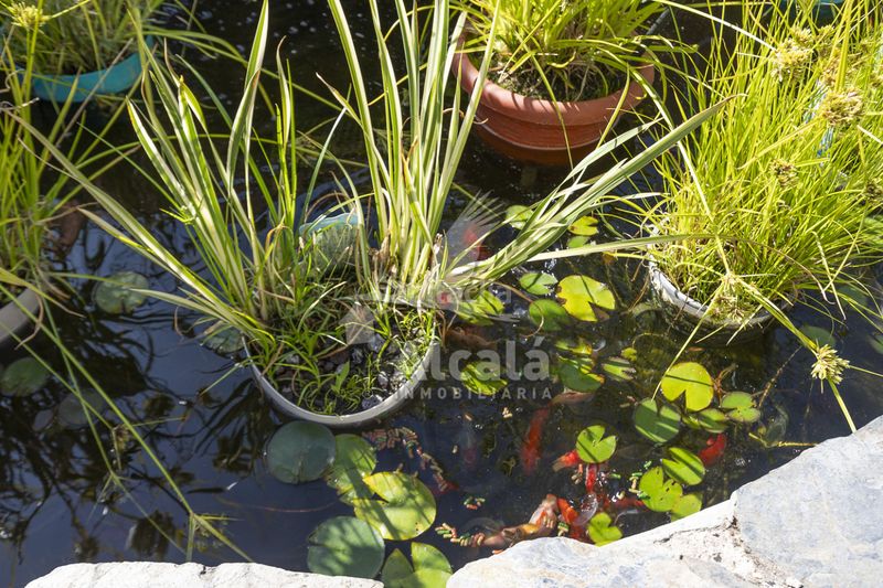 Foto 679a9f3b-bb87-4f38-b055-110d38f6cd42. Casa amb calefacció piscina a Galápagos