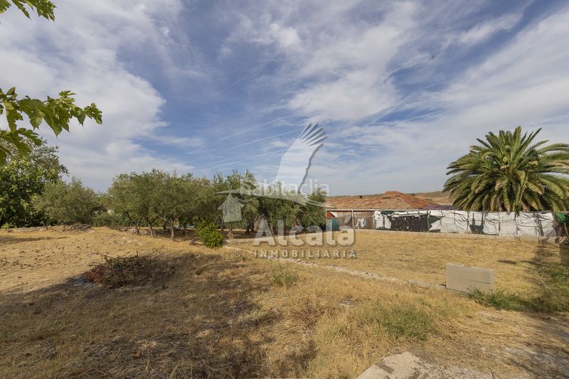 Foto 8c5f1769-8d88-4408-9705-6a9b0116a6c1. Casa amb calefacció a Camarma de Esteruelas