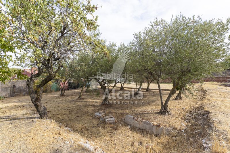Foto 93a95579-a434-4b23-a79f-60552fcd30e1. Casa amb calefacció a Camarma de Esteruelas