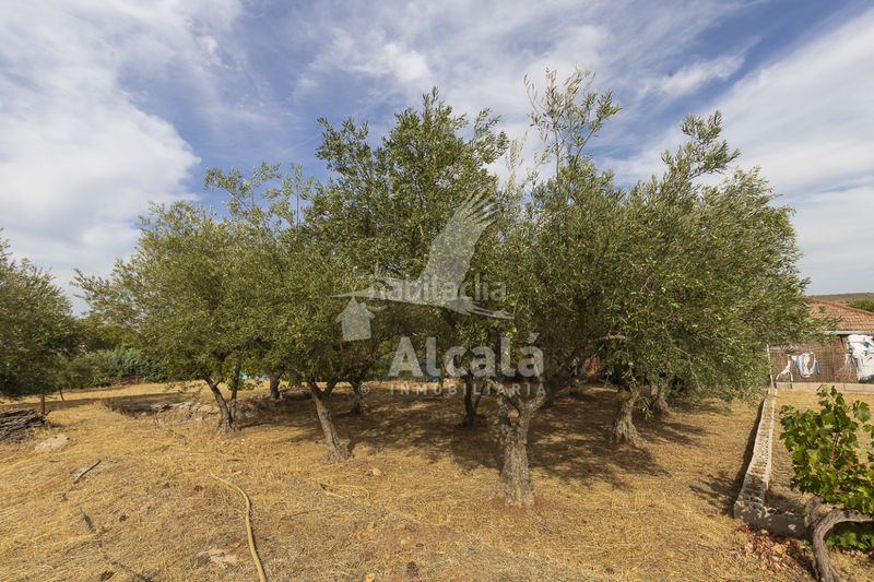 Foto a6bf2b0c-06c0-4583-9a1f-e057f506d664. Casa amb calefacció a Camarma de Esteruelas