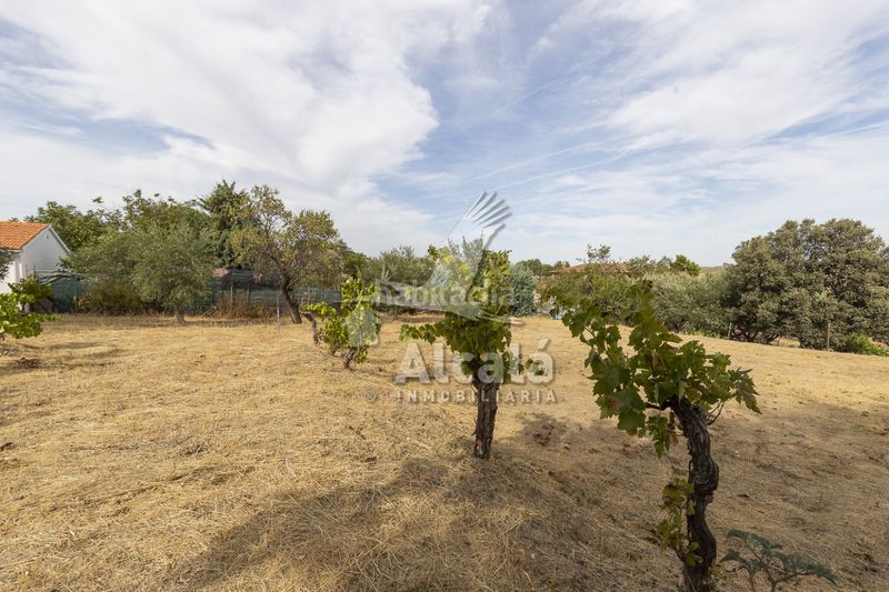 Foto ede7fdad-72a6-4957-a033-0745e32b2f33. Casa amb calefacció a Camarma de Esteruelas