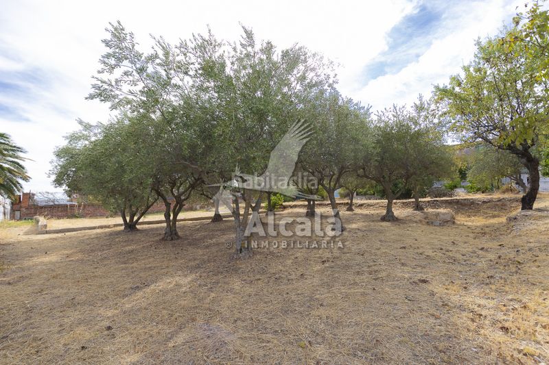 Foto f1418004-fb21-47a2-b468-0d79716b65c5. Casa amb calefacció a Camarma de Esteruelas