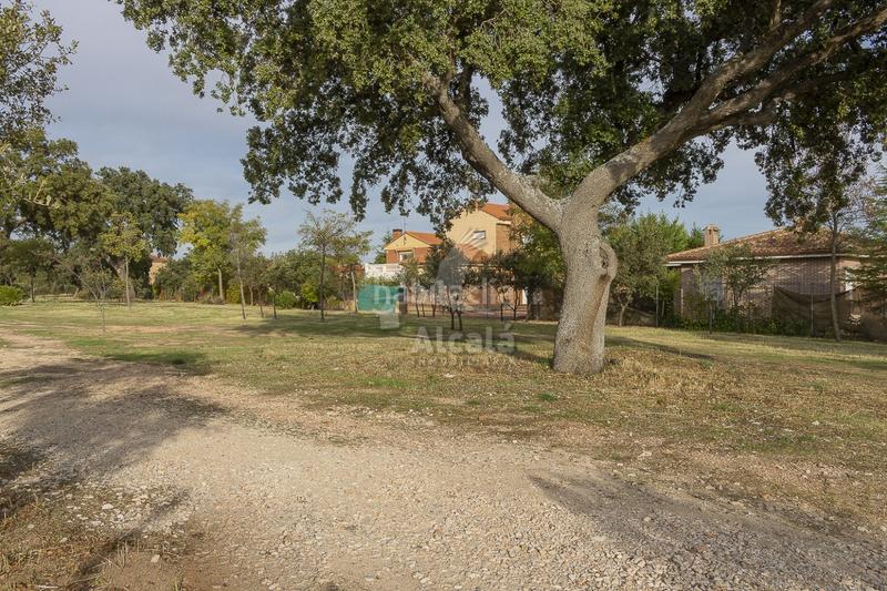 Foto e2b723e7-538d-4c26-80fa-4e2fb44b1493. Terreny residencial a Chiloeches