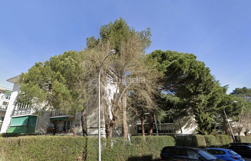 Foto f613a23f-6c7f-4afe-a776-658fdd31d9e7. Flat with pool in Los Valles Collado Villalba