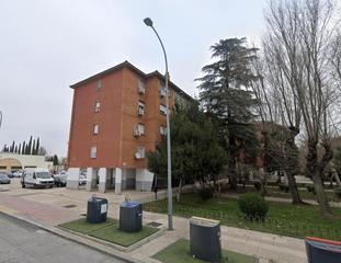 Flat  Maestro guerrero