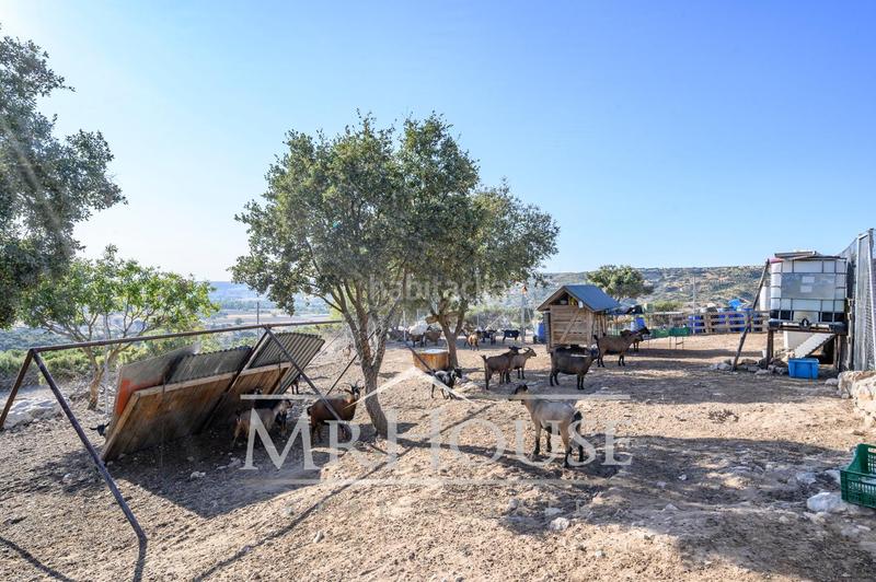 Foto 781b314b-0bc8-4f5c-8356-89be5cc2ef1f. Terreno residenziale in Perales de Tajuña