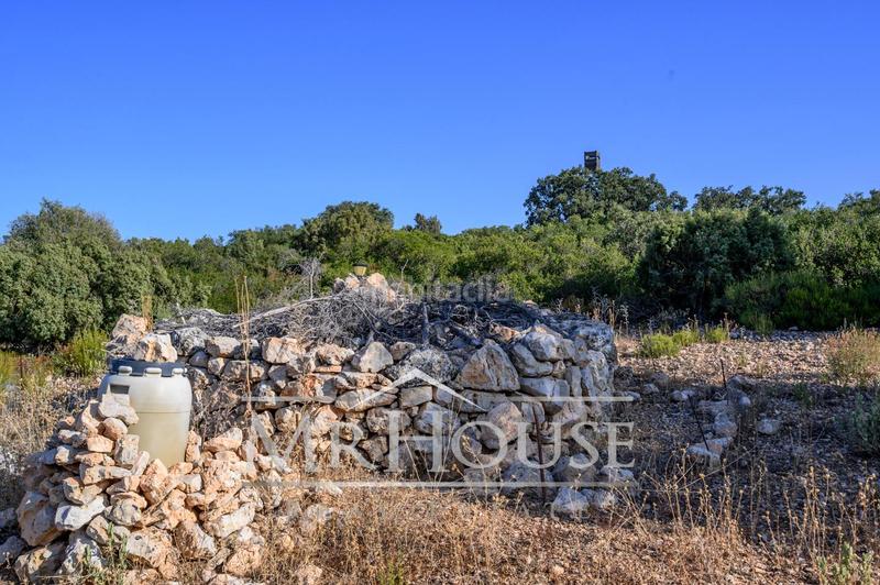 Foto 7b57b857-51c0-42fc-8cac-73f11fd907e9. Terreno residenziale in Perales de Tajuña