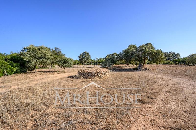 Foto 86dea2c6-c85b-403a-b180-5d666e7235ac. Terreno residenziale in Perales de Tajuña