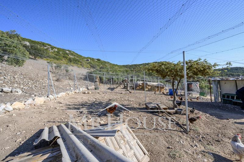 Foto d4c34159-6f90-40a6-bf1c-e55559865ea5. Terreno residenziale in Perales de Tajuña