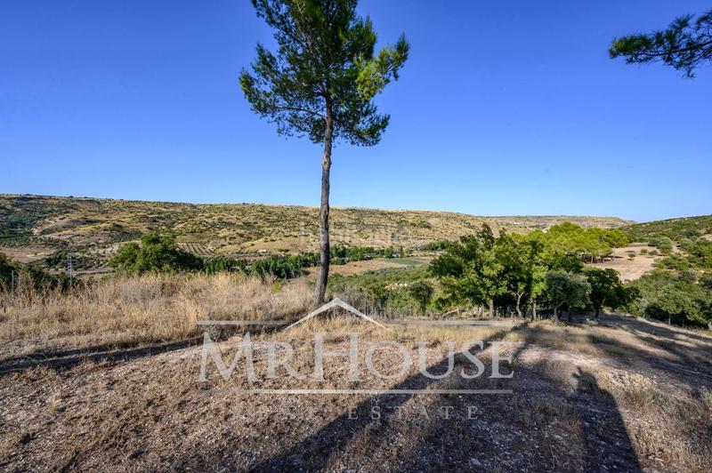 Foto e9778595-6c49-4206-9c3a-322a11e7225c. Terreno residenziale in Perales de Tajuña