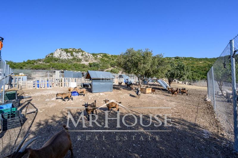 Foto f72ddb16-82a8-4d0d-abd7-4fbc246b86ad. Terreno residenziale in Perales de Tajuña