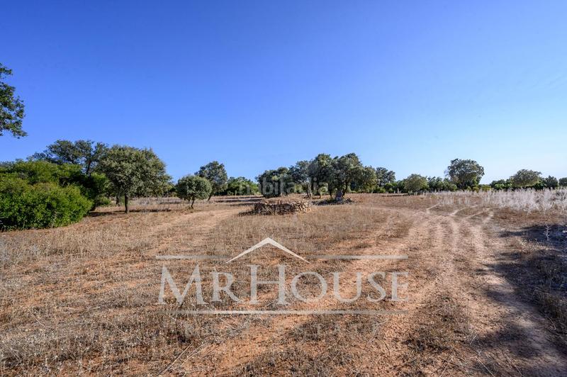 Foto fb188964-2c5c-4150-85cc-7583e6af8445. Terreno residenziale in Perales de Tajuña