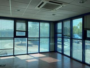 Business premise  Primavera
