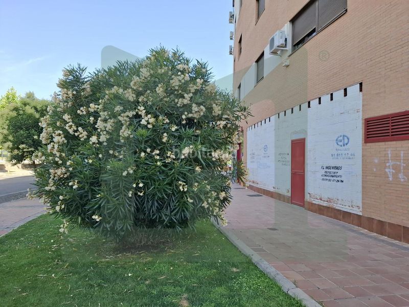 Foto 421a80a9-9691-4586-af18-e0874074825e. Rent business premise in Parla este Parla