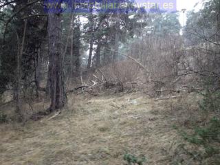 Terreny residencial a Molina (La). Solar terreno en venta en la molina