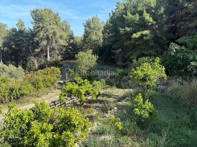 Foto 2b88a416-6d14-40bb-bf43-2efe05179c7d. Masia amb xemeneia piscina a Garraf Sitges