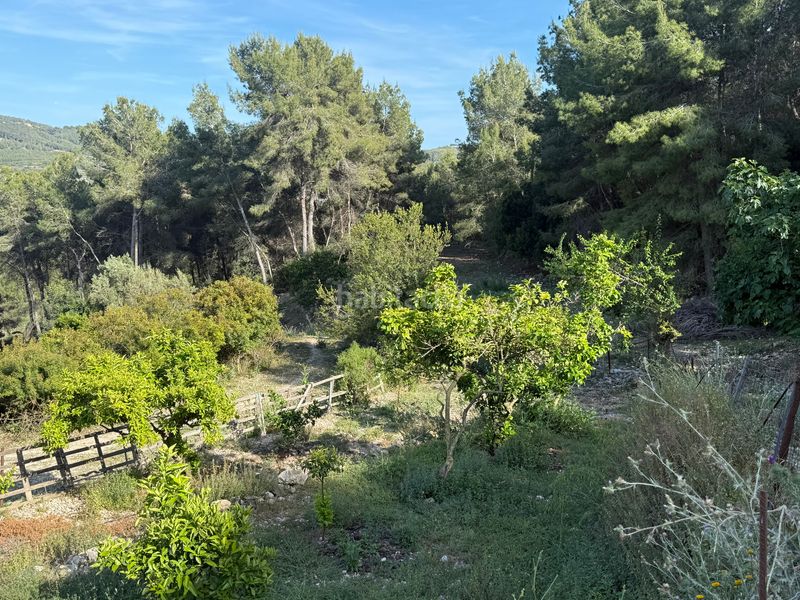 Foto 4280d2cd-e125-4733-923f-36ec6fb293fe. Masia amb xemeneia piscina a Garraf Sitges