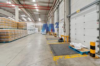 Lloguer Nau industrial a Zona Rural Suroeste. En vitoriagasteiz