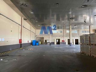 Industrial building in El Olivar