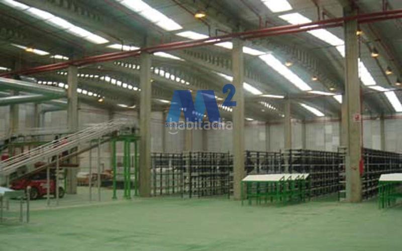 Foto a4b7ecbb-89e8-4dd3-96f4-abd433fa1f79. Rent industrial building in El Barral Ferial Coslada