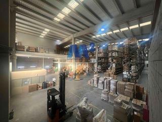 Miete Fabrikhalle in San Agustín de Guadalix. En san agustin del guadalix
