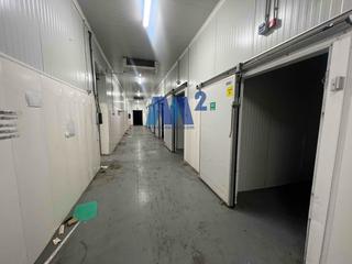 Miete Fabrikhalle in Santo Domingo. Nave industrial en alquiler y en venta