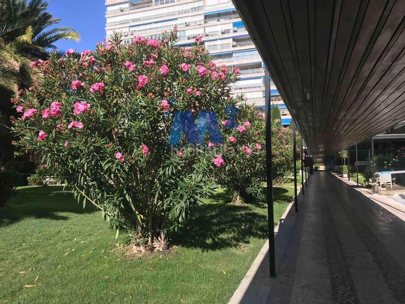 Foto b9d1de4b-71dc-4ea5-9c2d-8dd90c63d2cd. Büro in Vallehermoso Madrid