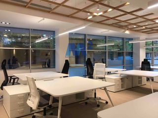 Rent Office space in El Viso. En madrid