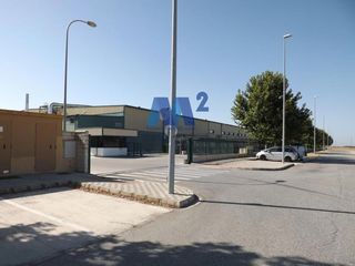 Industrial building in Turdetanos
