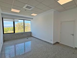 Office space in Calle Dublín 1