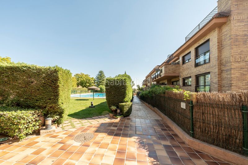 Foto 47c98b8d-62af-45ee-86b0-45bebf2be3a6. Alquiler ático  exclusivo de planta completa con 357 m² de terrazas y vistas panorámicas en Pinar de las Rozas en Rozas de Madrid (Las)
