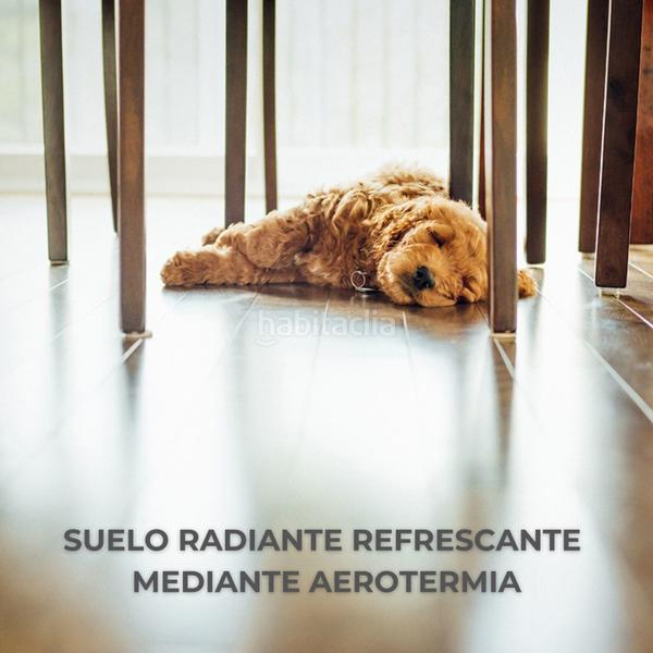 Foto 2c9455ca-5bd3-4b1a-b5cd-8a8655a3e605. Chalet 244m<sup>2</sup> dans saturno 2 dans Miramadrid Paracuellos de Jarama