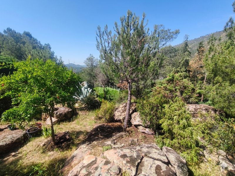 Foto 65507b9d-d5c9-4635-a942-a10a2a458759. Chalet en Robledo de Chavela