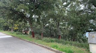 Terreno residencial en Arbúcies. Parcela en venta en plena naturaleza. se escuchan ofertas!!!