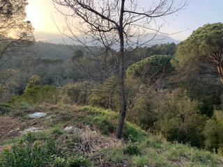 Terreny residencial a Riells i Viabrea. Parcela con fantásticas vistas al montseny en venta a riells i v