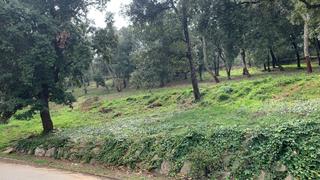Terreno residencial en Arbúcies. Parcela en plena naturaleza en venta en fogueres de montsoliu.se