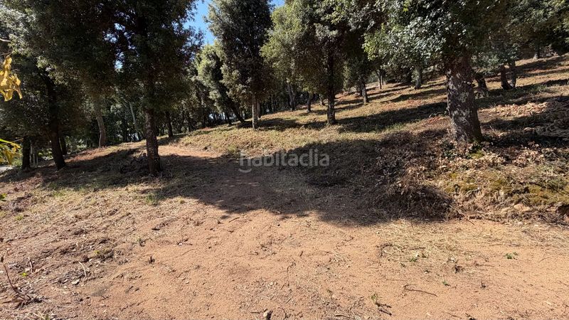Foto 54a2ad29-1f20-4adc-bce5-538d892a9a41. Terreny residencial a Arbúcies