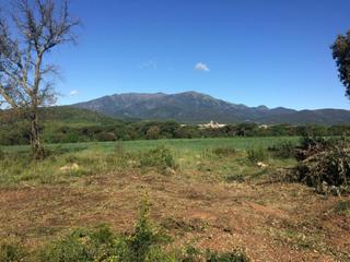 Terreny residencial a Sant Feliu de Buixalleu. Parcela llana con vistas al montseny en venta a sant feliu de bu