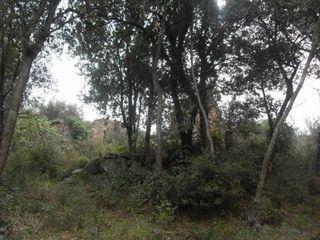 Masia a Llinars del Vallès. Finca rustica en venta en llinars del vallès. se escuchan oferta