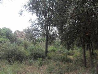Masia a Llinars del Vallès. Finca rustica en venta en llinars del vallès. se escuchan oferta