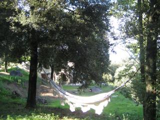 Xalet a Arbcies. Casa rustica y tres parcelas en venta con vistas al castillo de