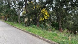 Terreny residencial a Sant Feliu de Buixalleu. Parcela en zona muy tranquila, fogueres de montsoriu. se escucha