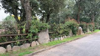 Terreny residencial a Sant Feliu de Buixalleu. Parcela urbanizable en el montseny. se escuchan ofertas!!!
