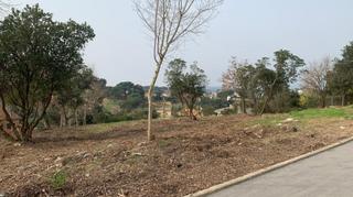 Residential Plot in Riells i Viabrea. Parcela soleada en venta en riells i viabrea. se escuchan oferta