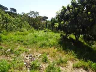 Residential Plot in Riells i Viabrea. Parcela llana en venda en riells y viabrea. se escuchan ofertas!