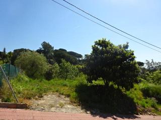 Terreny residencial a Riells i Viabrea. Parcela llana en venda en riells y viabrea. se escuchan ofertas!