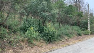 Terreny residencial a Riells i Viabrea. Oportunidad parcela con vistas al montseny en riells i viabrea.